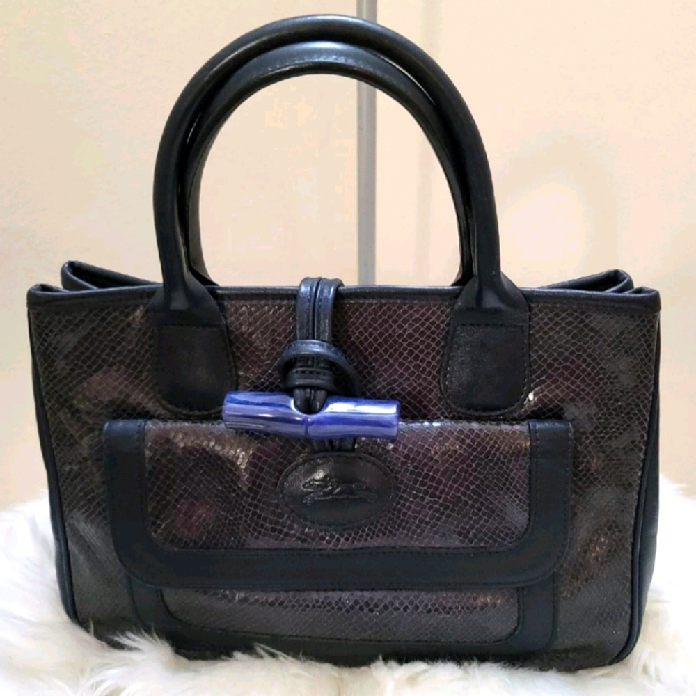 Longchamp purse